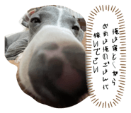 846395963