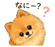 846395973