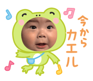 846396025