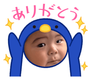 846396027