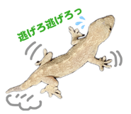 846396046
