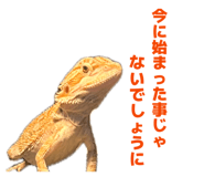 846396047