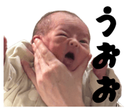 846396978