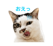 846398080