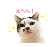 846398081