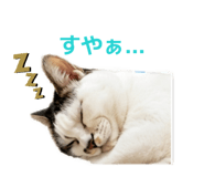 846398082
