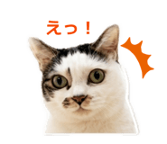 846398084