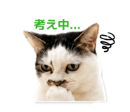 846398085