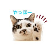 846398086