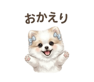 846399590