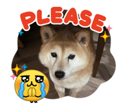 846400475