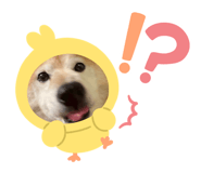 846400477