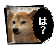 846400478