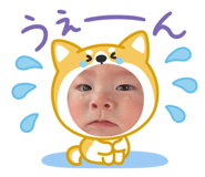846401689