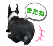 846401714