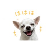 846401734