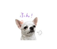 846401736