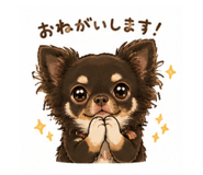 846402022