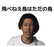 846402081