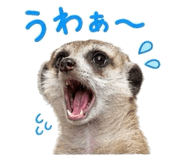 846402196