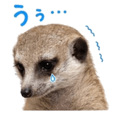 846402197