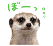 846402199