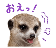 846402200