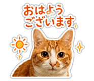 846414249
