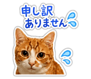 846414252