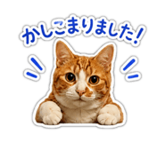 846414257