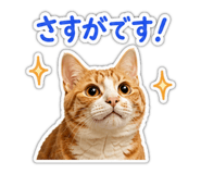 846414270
