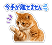 846414280