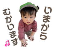 846414290
