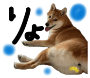 846414299