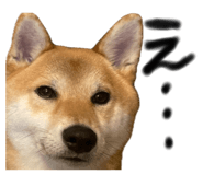 846414303