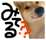 846414305