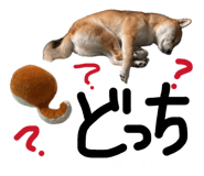 846414307