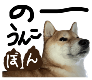 846414314