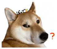 846414315