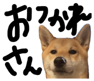 846414317