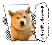 846414338