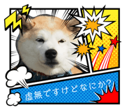846414340