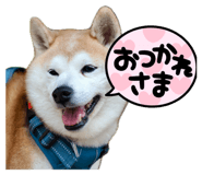 846414342