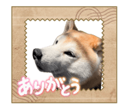 846414343