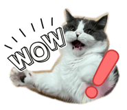 846414375