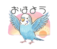 846414423