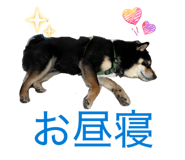 846414615