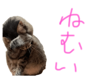 846415370
