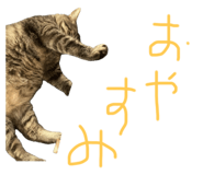 846415374