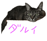 846415376